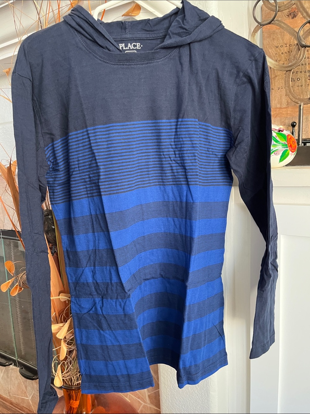 The Children's Place Navy and Royal Blue Striped Hoodie Tee